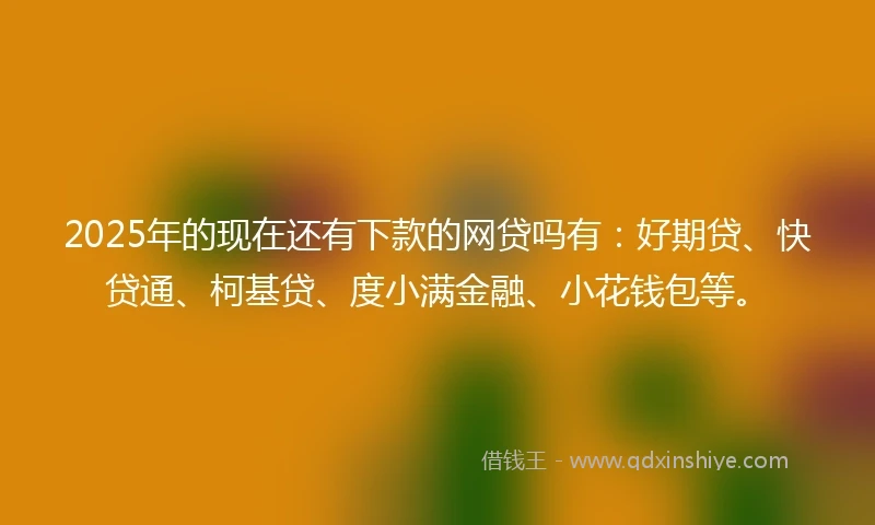 2025年的现在还有下款的网贷吗有：好期贷、快贷通、柯基贷、度小满金融、小花钱包等。