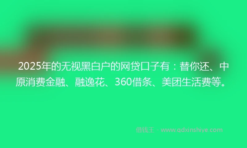 2025年的无视黑白户的网贷口子有：替你还、中原消费金融、融逸花、360借条、美团生活费等。