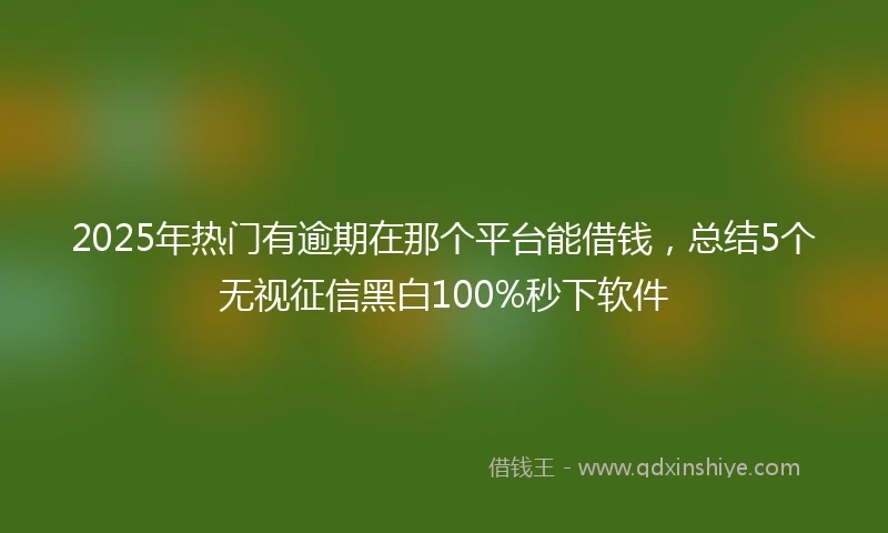 2025年热门有逾期在那个平台能借钱，总结5个无视征信黑白100%秒下软件