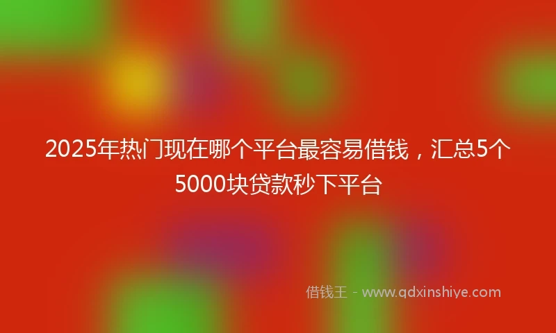 2025年热门现在哪个平台最容易借钱，汇总5个5000块贷款秒下平台