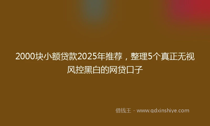 2000块小额贷款2025年推荐，整理5个真正无视风控黑白的网贷口子