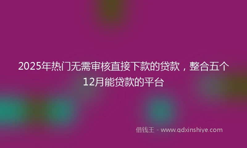 2025年热门无需审核直接下款的贷款，整合五个12月能贷款的平台