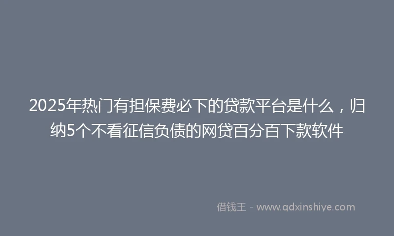 2025年热门有担保费必下的贷款平台是什么，归纳5个不看征信负债的网贷百分百下款软件