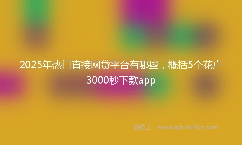 2025年热门直接网贷平台有哪些，概括5个花户3000秒下款app