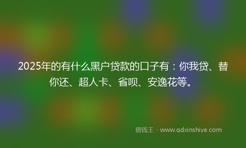2025年的有什么黑户贷款的口子有：你我贷、替你还、超人卡、省呗、安逸花等。
