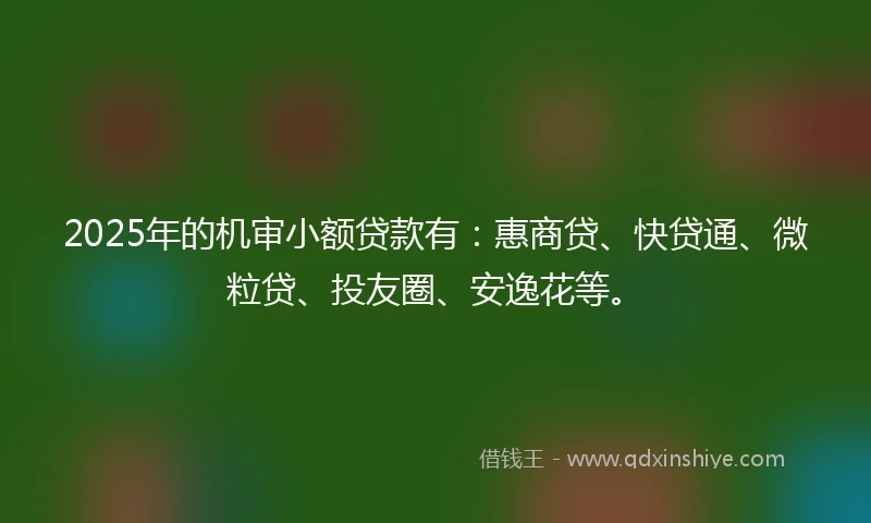 2025年的机审小额贷款有：惠商贷、快贷通、微粒贷、投友圈、安逸花等。