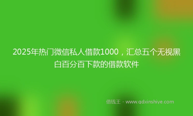 2025年热门微信私人借款1000，汇总五个无视黑白百分百下款的借款软件
