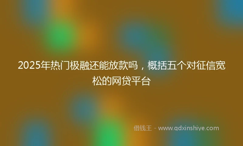 2025年热门极融还能放款吗，概括五个对征信宽松的网贷平台