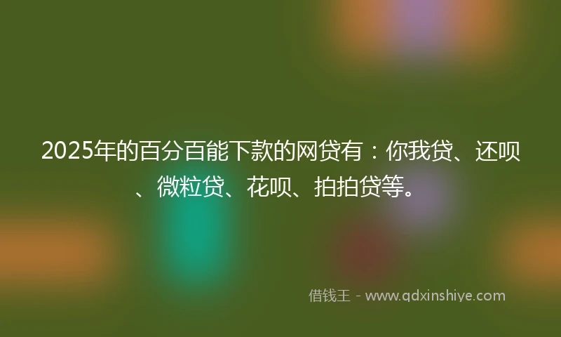 2025年的百分百能下款的网贷有：你我贷、还呗、微粒贷、花呗、拍拍贷等。
