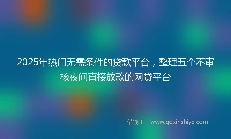 2025年热门无需条件的贷款平台，整理五个不审核夜间直接放款的网贷平台