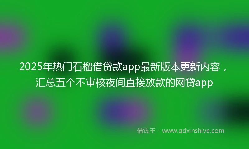 2025年热门石榴借贷款app最新版本更新内容，汇总五个不审核夜间直接放款的网贷app