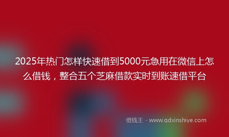 2025年热门怎样快速借到5000元急用在微信上怎么借钱，整合五个芝麻借款实时到账速借平台