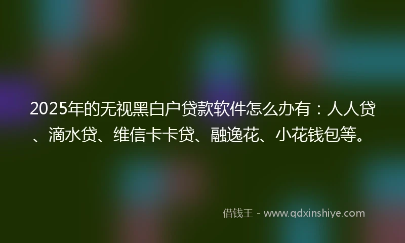 2025年的无视黑白户贷款软件怎么办有：人人贷、滴水贷、维信卡卡贷、融逸花、小花钱包等。