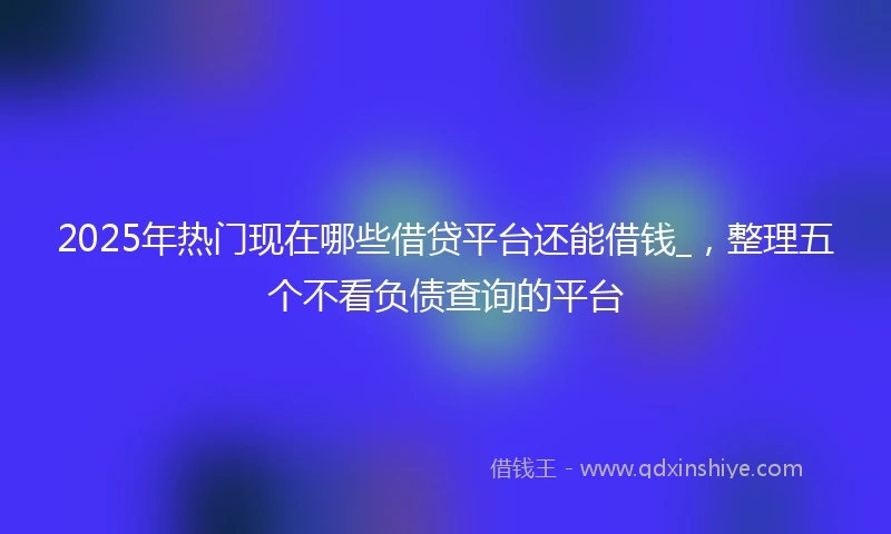 2025年热门现在哪些借贷平台还能借钱_,整理五个不看负债查询的平台