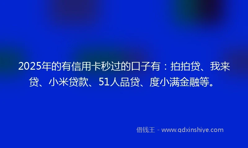 2025年的有信用卡秒过的口子有：拍拍贷、我来贷、小米贷款、51人品贷、度小满金融等。