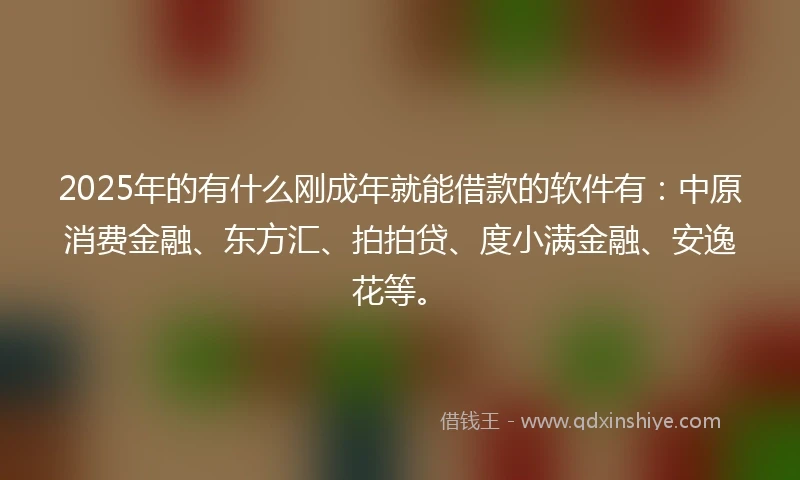 2025年的有什么刚成年就能借款的软件有：中原消费金融、东方汇、拍拍贷、度小满金融、安逸花等。