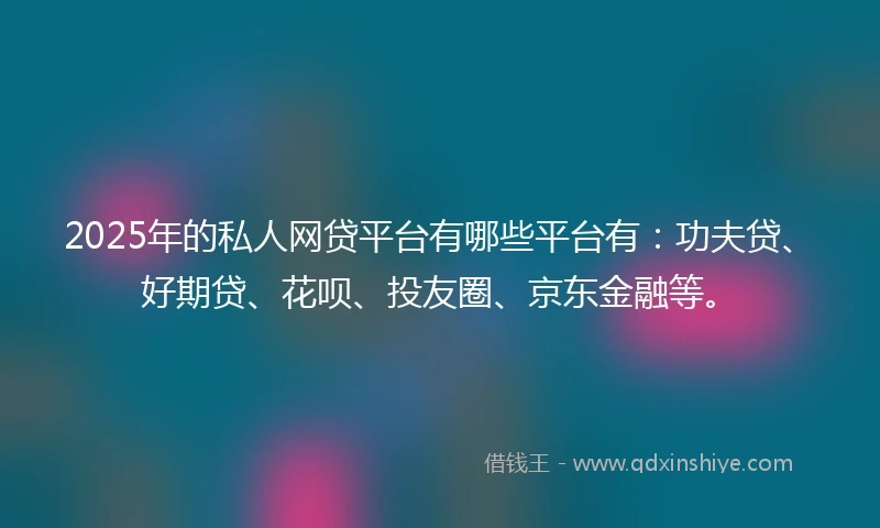 2025年的私人网贷平台有哪些平台有：功夫贷、好期贷、花呗、投友圈、京东金融等。