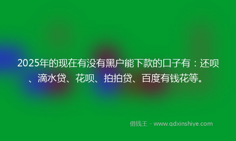 2025年的现在有没有黑户能下款的口子有：还呗、滴水贷、花呗、拍拍贷、百度有钱花等。