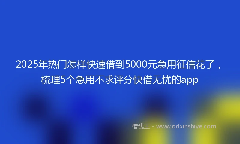 2025年热门怎样快速借到5000元急用征信花了，梳理5个急用不求评分快借无忧的app