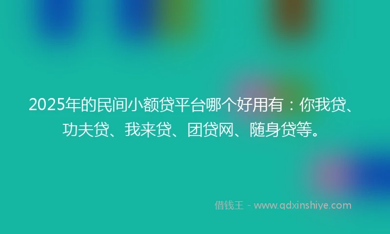 2025年的民间小额贷平台哪个好用有：你我贷、功夫贷、我来贷、团贷网、随身贷等。