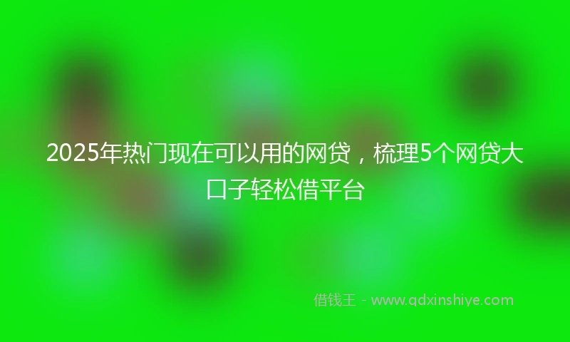2025年热门现在可以用的网贷,梳理5个网贷大口子轻松借平台