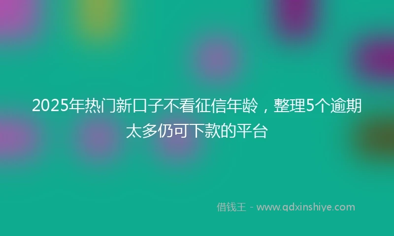 2025年热门新口子不看征信年龄，整理5个逾期太多仍可下款的平台