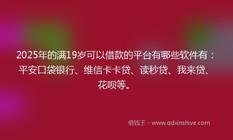 2025年的满19岁可以借款的平台有哪些软件有:平安口袋银行、维信卡卡贷、读秒贷、我来贷、花呗等。