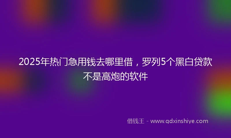 2025年热门急用钱去哪里借，罗列5个黑白贷款不是高炮的软件