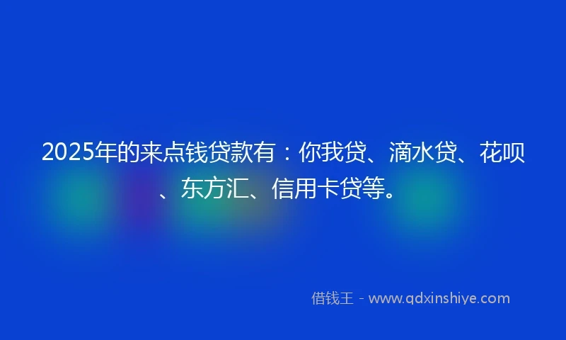 2025年的来点钱贷款有：你我贷、滴水贷、花呗、东方汇、信用卡贷等。