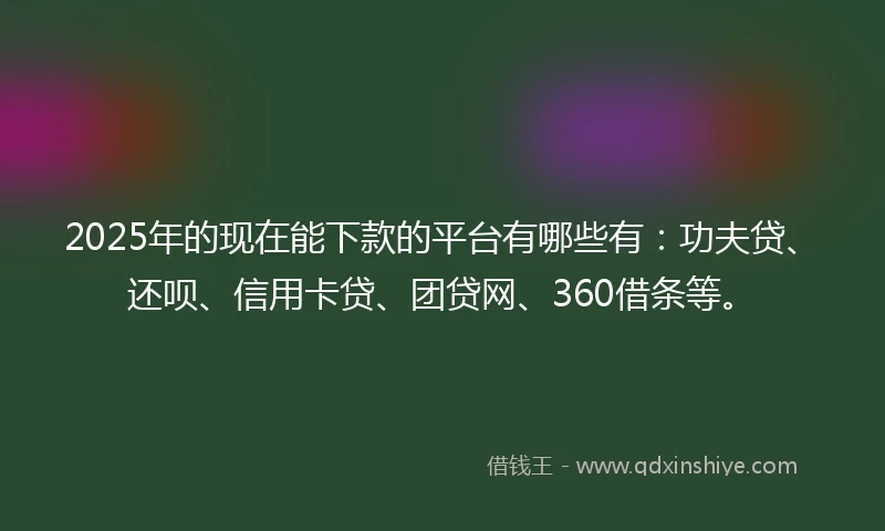 2025年的现在能下款的平台有哪些有：功夫贷、还呗、信用卡贷、团贷网、360借条等。