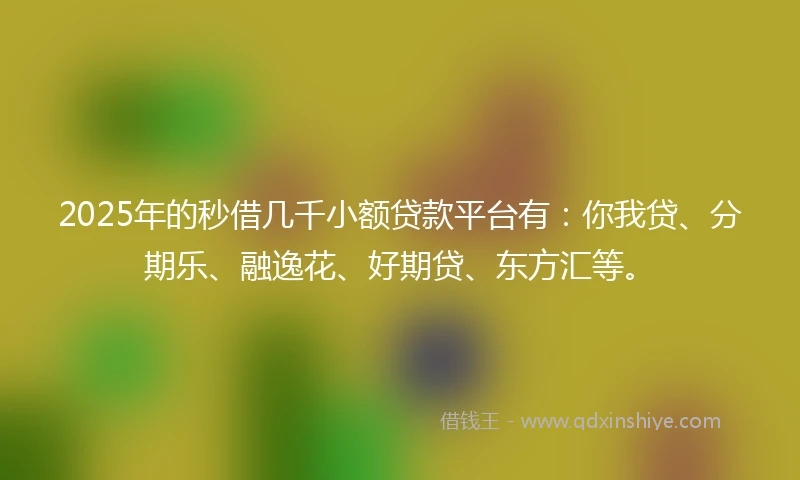 2025年的秒借几千小额贷款平台有：你我贷、分期乐、融逸花、好期贷、东方汇等。