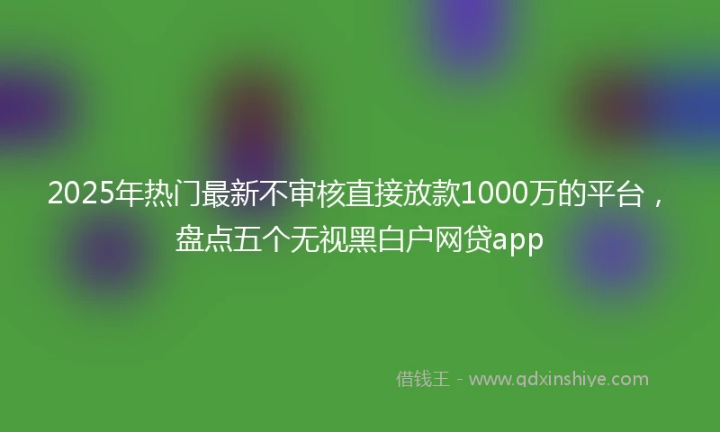 2025年热门最新不审核直接放款1000万的平台，盘点五个无视黑白户网贷app
