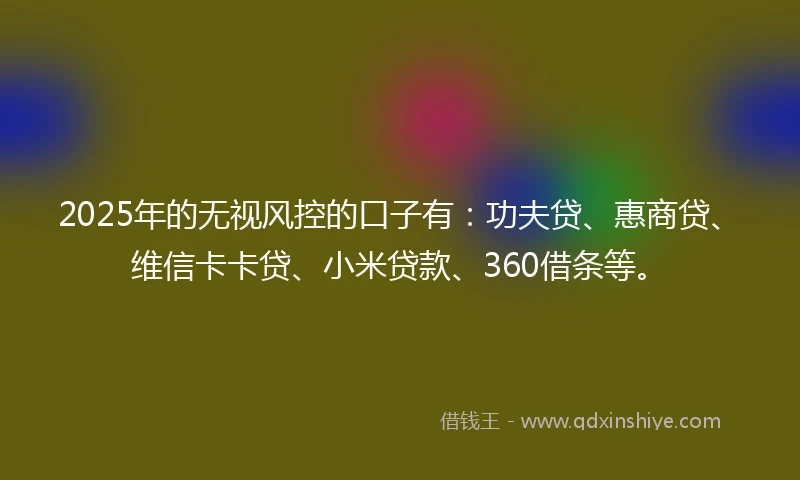2025年的无视风控的口子有：功夫贷、惠商贷、维信卡卡贷、小米贷款、360借条等。