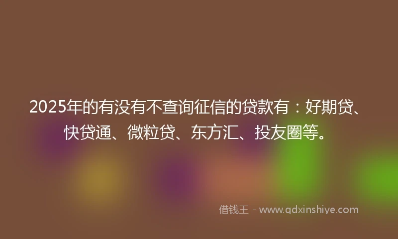 2025年的有没有不查询征信的贷款有：好期贷、快贷通、微粒贷、东方汇、投友圈等。
