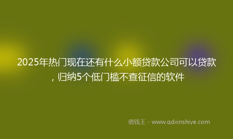 2025年热门现在还有什么小额贷款公司可以贷款，归纳5个低门槛不查征信的软件