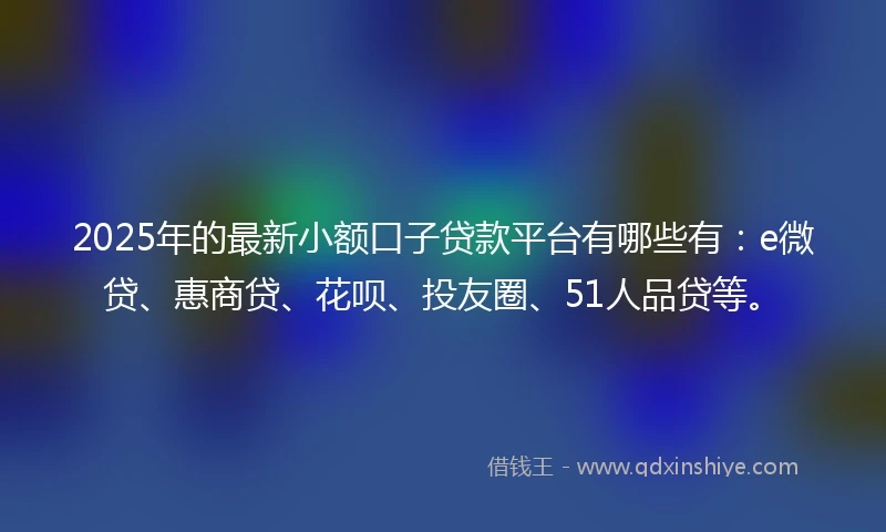 2025年的最新小额口子贷款平台有哪些有：e微贷、惠商贷、花呗、投友圈、51人品贷等。