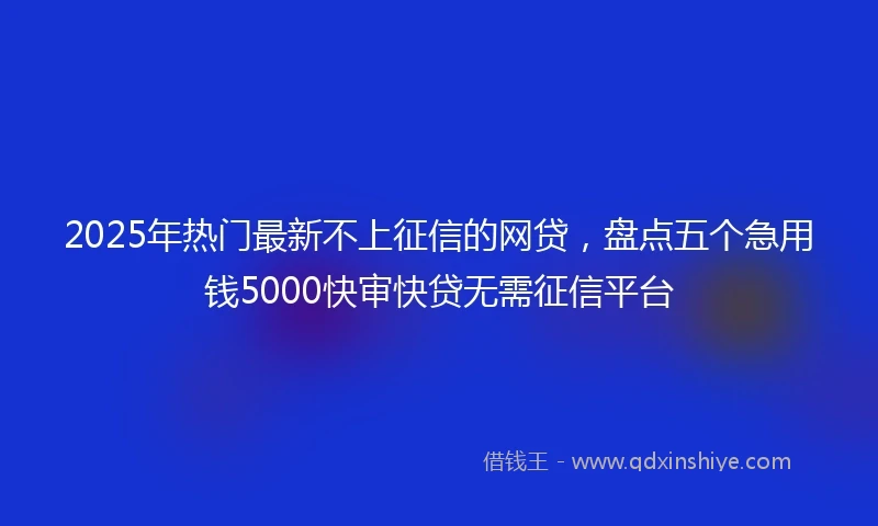 2025年热门最新不上征信的网贷，盘点五个急用钱5000快审快贷无需征信平台
