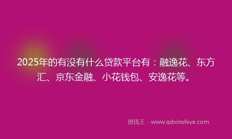 2025年的有没有什么贷款平台有：融逸花、东方汇、京东金融、小花钱包、安逸花等。