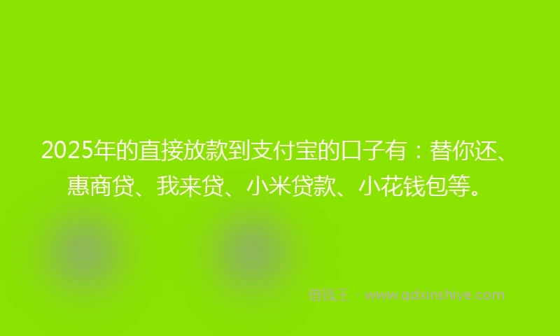 2025年的直接放款到支付宝的口子有：替你还、惠商贷、我来贷、小米贷款、小花钱包等。