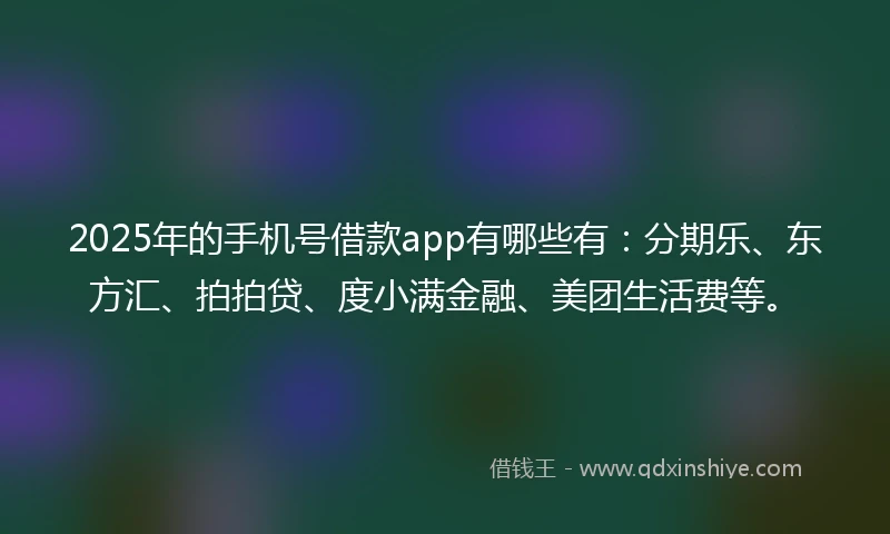 2025年的手机号借款app有哪些有：分期乐、东方汇、拍拍贷、度小满金融、美团生活费等。