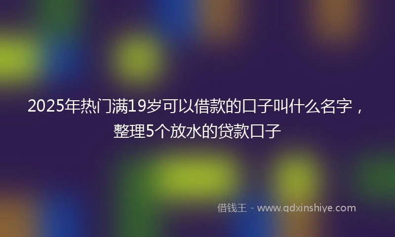 2025年热门满19岁可以借款的口子叫什么名字，整理5个放水的贷款口子