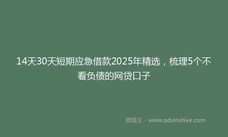 14天30天短期应急借款2025年精选，梳理5个不看负债的网贷口子