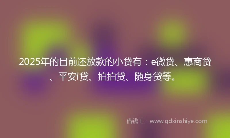 2025年的目前还放款的小贷有:e微贷、惠商贷、平安i贷、拍拍贷、随身贷等。