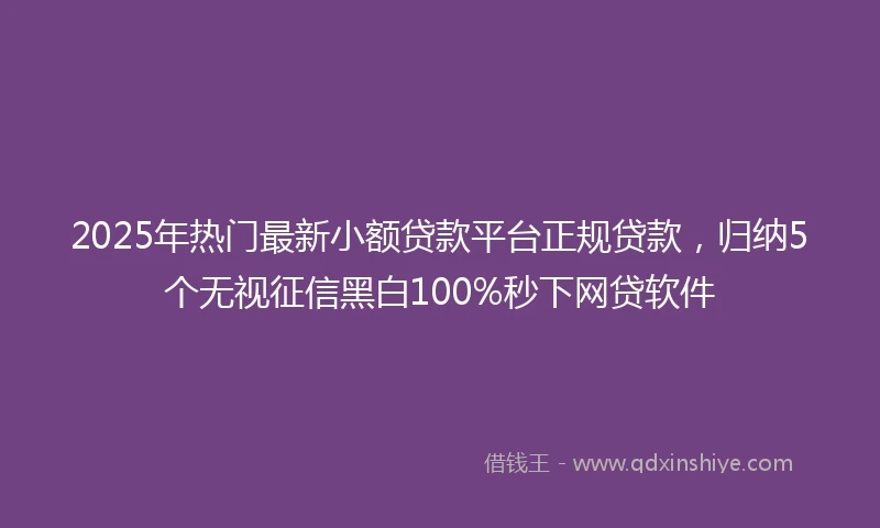 2025年热门最新小额贷款平台正规贷款，归纳5个无视征信黑白100%秒下网贷软件