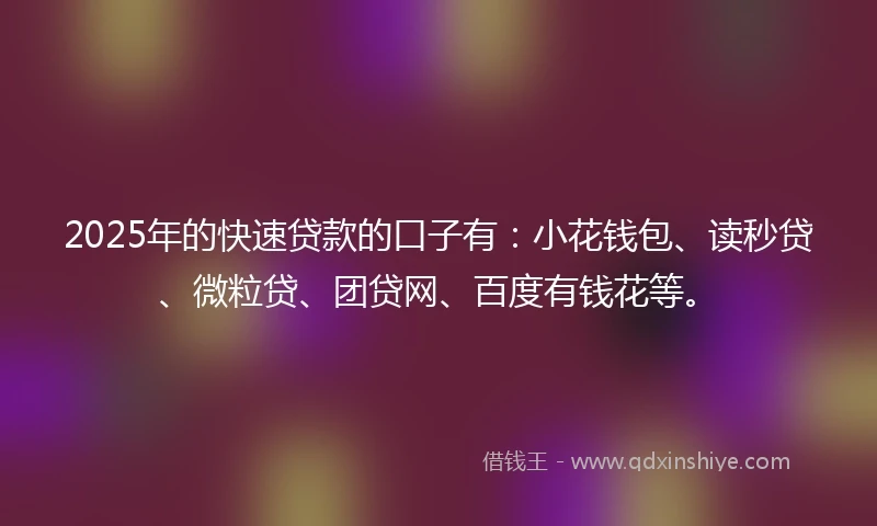 2025年的快速贷款的口子有：小花钱包、读秒贷、微粒贷、团贷网、百度有钱花等。