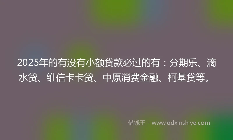 2025年的有没有小额贷款必过的有：分期乐、滴水贷、维信卡卡贷、中原消费金融、柯基贷等。
