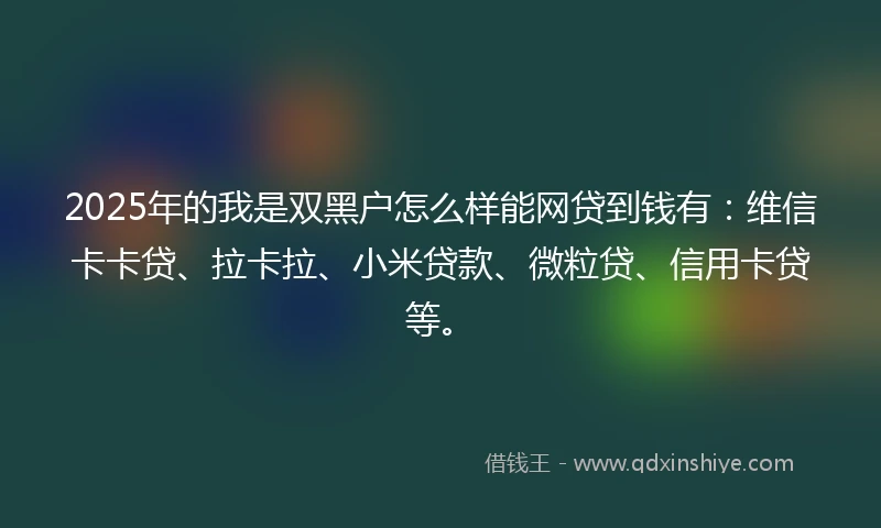 2025年的我是双黑户怎么样能网贷到钱有：维信卡卡贷、拉卡拉、小米贷款、微粒贷、信用卡贷等。
