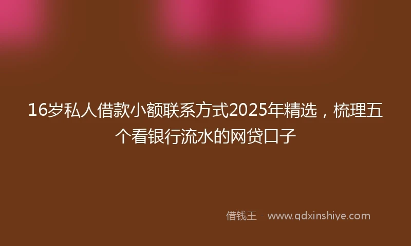 16岁私人借款小额联系方式2025年精选，梳理五个看银行流水的网贷口子