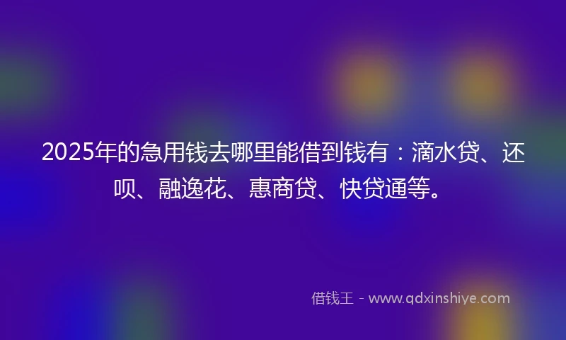 2025年的急用钱去哪里能借到钱有：滴水贷、还呗、融逸花、惠商贷、快贷通等。