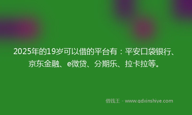 2025年的19岁可以借的平台有：平安口袋银行、京东金融、e微贷、分期乐、拉卡拉等。